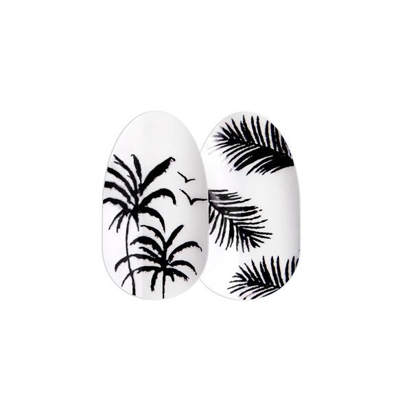 Palm Down Color Street